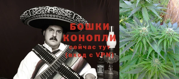 не бодяженный Заводоуковск